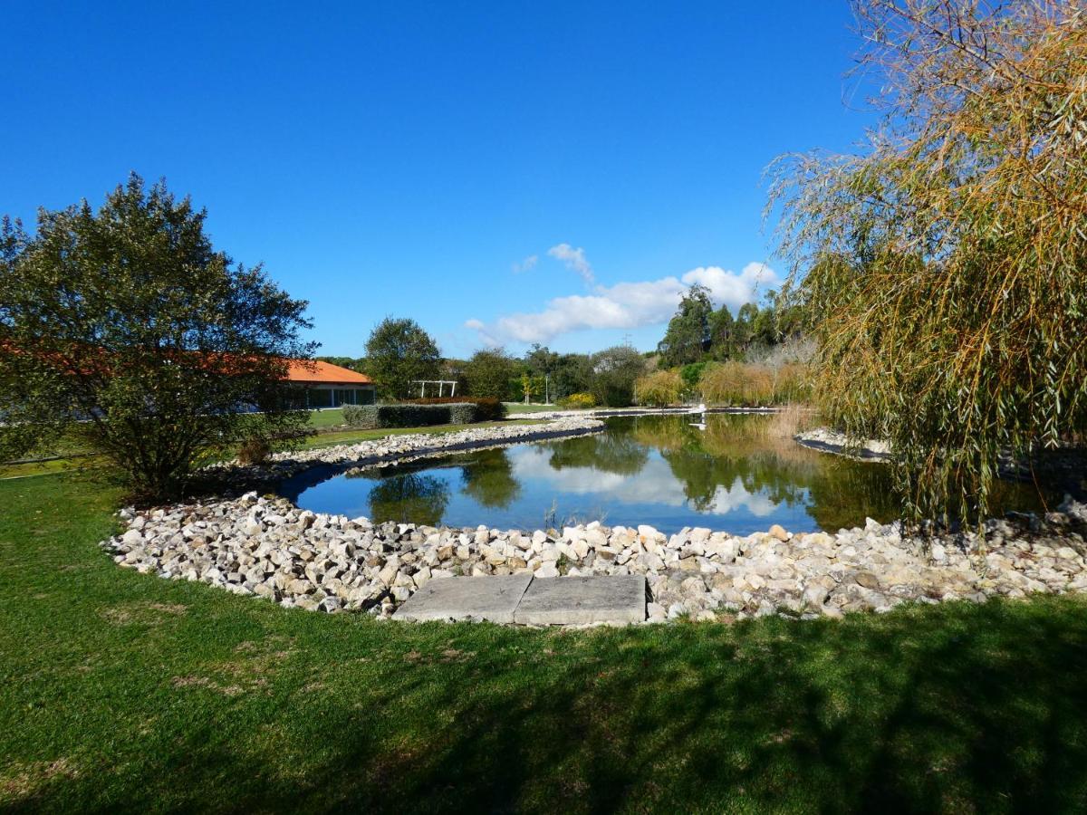 Hotel Vila D'Обідуш Екстер'єр фото
